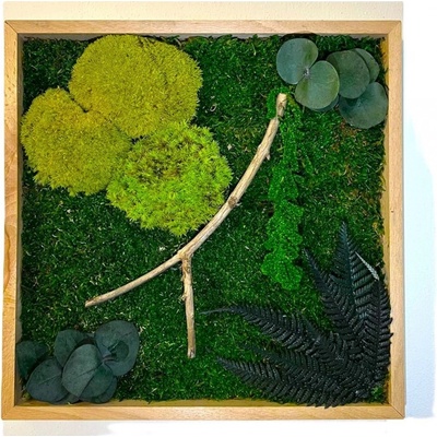 Mechový obraz s rostlinami 3D - čtverec Velikost: 50x50cm