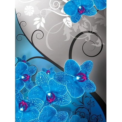 Preinterier Fototapeta panel - PL0105 - Modrá orchidea vlies - 206cm x 275cm