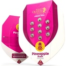 Royal Queen Seeds Pineapple Kush semena neobsahují THC 3 ks