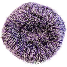 BeanBag Shaggy Multicolor white-black-purple