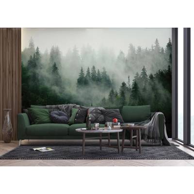 Ag Design FT5P-3033 Vliesová fototapeta na zed' Lesní Mlha, rozměry 360 x 270 cm