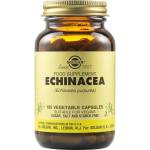Solgar Echinacea, 100 растителни капсули, Solgar
