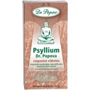 Dr.Popov Psyllium indická rozpustná vláknina 100 g