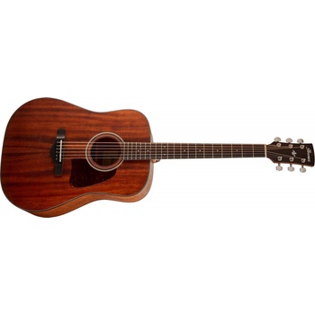 Ibanez AW54-OPN
