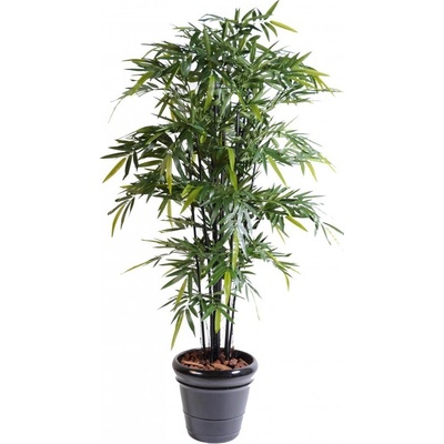 Luxusní umělý BAMBUS BLACK NATURAL NC, 175cm
