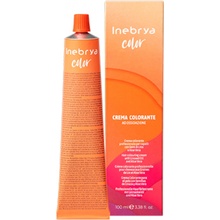 Inebrya Color ASH 6/1 Dark Blonde 100 ml