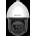 Hikvision DS-2DF8250I5X-AEL