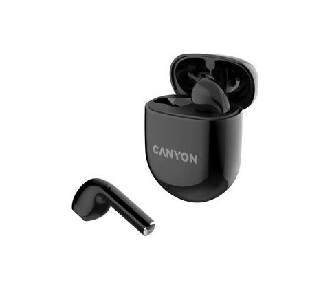 Canyon CNS-TWS6