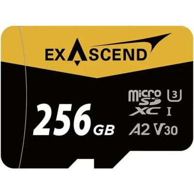 ExAscend Catalyst MicroSDXC 256 GB EX256GUSDU1-AD