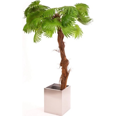 Umelá Washingtonská palma 220cm