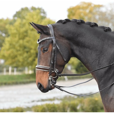 BUSSE Uzda Luxury hnědá cream crystal pearl