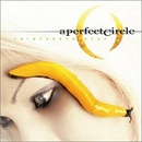 PERFECT CIRCLE: THIRTEENTH STEP CD