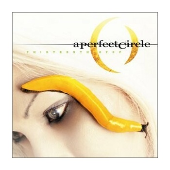 PERFECT CIRCLE: THIRTEENTH STEP CD