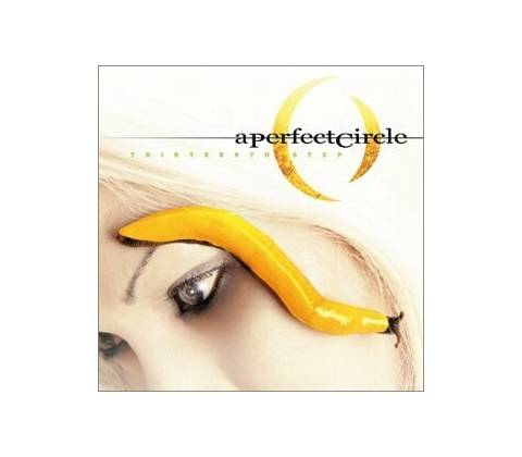 PERFECT CIRCLE: THIRTEENTH STEP CD