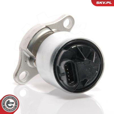 AGR-Ventil ESEN SKV 14SKV035