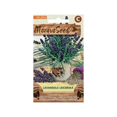 Semínka MoravoSeed Levandule lékařská 71724