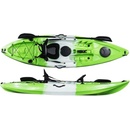 Conger 295