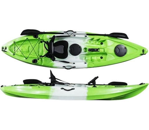 Conger 295