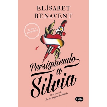 Suma Persiguiendo a Silvia | ELISABET BENAVENT