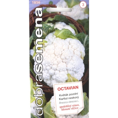 Dobré semená Karfiol neskorý Octavian 0,3 g