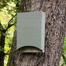 BNB Box Búdka pre netopiere drevobetón štrbinová zelená ANS-1
