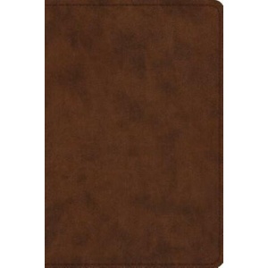 ESV Study Bible, Personal Size | Crossway Bibles (ISBN: 9781433547621)