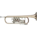 Levante LV TR6605