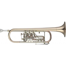 Levante LV TR6605