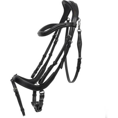 Uzdečka QHP Salerno s anatomickým nánosníkem black COB
