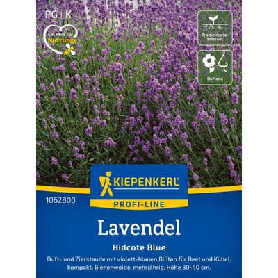 Kiepenkerl Levanduľa "Hidcote Blue" 1 bal.