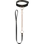 ROSY GOLD - Collar with Leash - Black