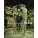 India Andreas H.Bitesnich