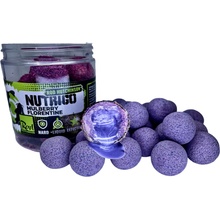 LK Baits Boilies Mulberry Florentine R. Hutchinson 1kg 20mm + Nutrigo RH Mulberry Florentinemm 150ml