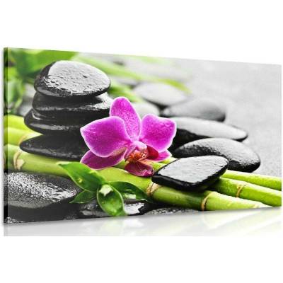 Obraz Spa zátiší s fialovou orchidejí - 40x30