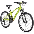 Leader Fox Spider 2023