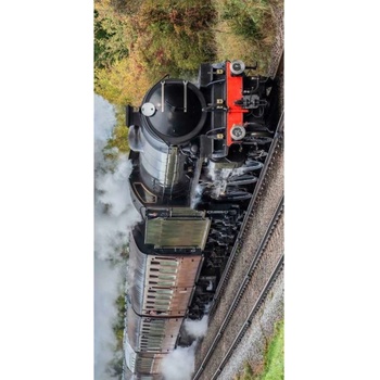 JERRY FABRICS Osuška Parný vlak 70x140 cm