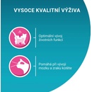Purina One Junior mini filetky s lososem a mrkví ve šťávě 85 g