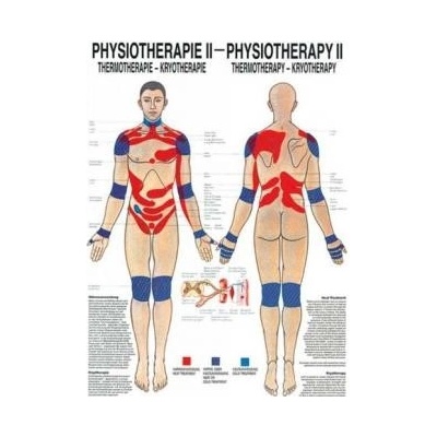 Rüdiger-Anatomie Naučný plakát Fyzioterapie II