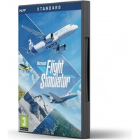 Flight Simulator