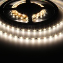 T-LED 073202