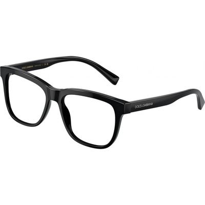 Dolce & Gabbana DX3356 501