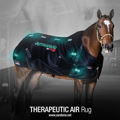 Zandona Deka terapeutická Air Rug