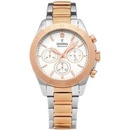 Festina 20398/1