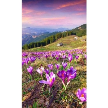 DIMEX ART s. r. o Флизелинов фототапет минзухари през пролетта 150 x 250 см