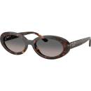 Ray-Ban RB2223 902/M3