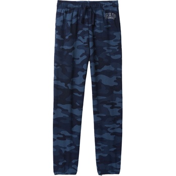 GAP V-frch heritage logo m