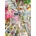 Bluebird Puzzle - Puzzle The Sweet Shop - 500 piese