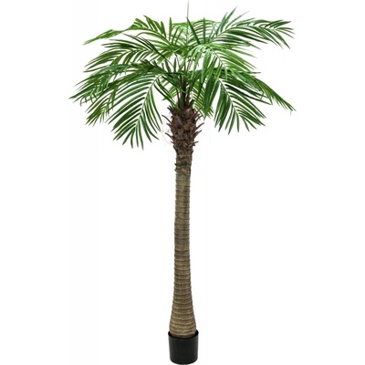 Umělá Phoenix palma, 150cm