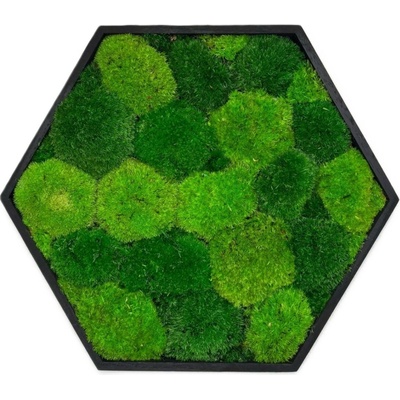 Mechový hexagon Tom Velikost rámu: 31cm v nejširším bodě