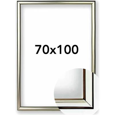 Fotorámeček BF Rozměr: 70 x 100 cm, Barva: Šampaň, Typ zasklení: Plexi
